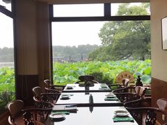 -湖畔居茶楼(湖滨店)