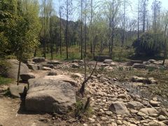 iphone_upload_pic-新江湾城公园