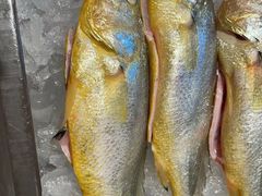 -厦门悦华酒店·绿庭主题自助餐厅