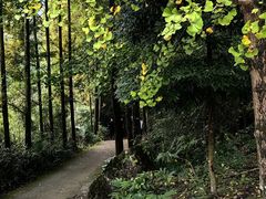 -龙窝子