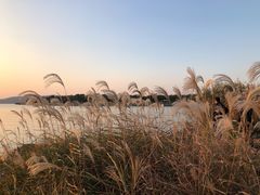 -上海市保健医疗中心