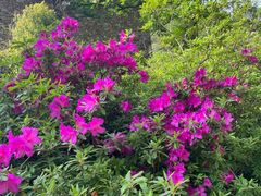 -木兰云雾山