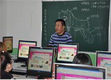 -优缇多格专业宠物美容师培训学校