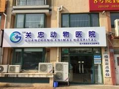-瑞派·关忠动物医院·猫专科·犬专科(三环新城店)