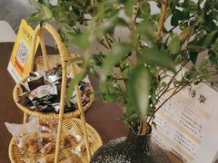 -施奈儿.洗头頭療.按摩SPA.采耳(上梅林店)