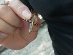 -碓臼峪自然风景区