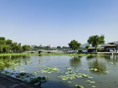 -济南大明湖景区
