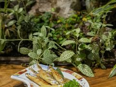 -森味薪火烧•烧鸟居酒屋•日本料理(望京店)