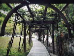 -天鹿湖森林公园