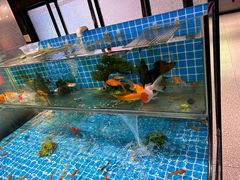-三兄弟灰太狼烧烤.龙虾烤鱼(上海交大店)