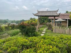 -紫颐香薰山谷景区