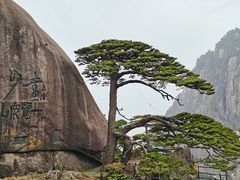 -黄山风景区