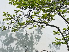 -耦园