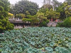 -国恩寺