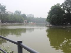 -莲湖公园