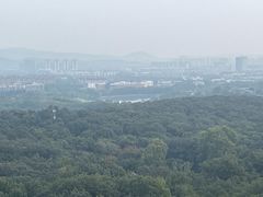 -灵谷景区