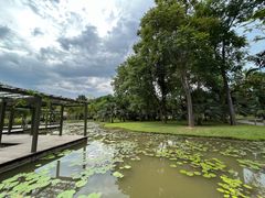 -中国科学院西双版纳热带植物园