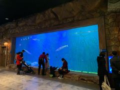 -华夏文旅海洋公园