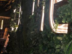 -柴窝堡辣子鸡(文艺路店)