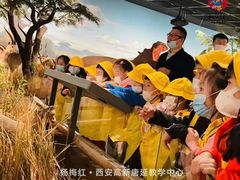 -杨梅红艺术教育(西安高新唐延教学中心)