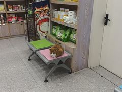 -四月宠物医院·猫专科·心脏专科·内科(转塘店)