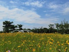 -菊园百果园