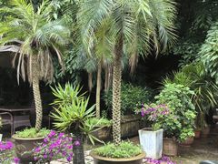 -丫口花园餐厅·融合菜