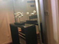 -白玉兰酒店(上海田子坊马当路地铁站店)