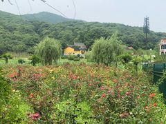-龙寺生态园