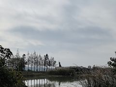 -东湖落雁景区