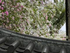 -深圳国际园林花卉博览园