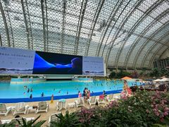 -麦当劳(新世纪环球中心店)