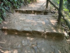 -莫里热带雨林景区