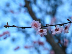 -安远门(地铁站)