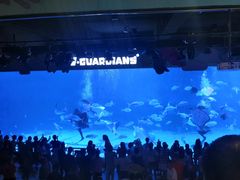 -烟台海昌鲸鲨海洋公园