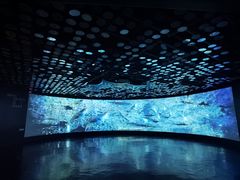 -同济大学四平路校区深海探索馆