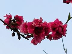 -乌山风景区
