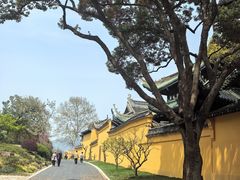 -无锡梅园公园