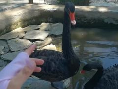 -南戴河国际娱乐中心