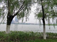 -天鹅湖体育公园