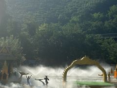 -西双版纳原始森林公园
