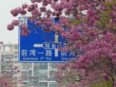 -万科前海企业公馆