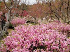 -石岛赤山风景区