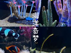 -欢乐海岸海洋奇梦馆