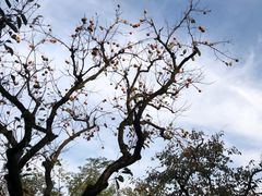 -木守西溪溪隐餐厅
