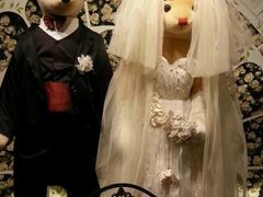 -济州岛泰迪熊博物馆