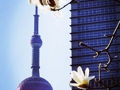 -陆家嘴中心绿地