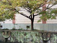 -浙江省博物馆(孤山馆区)