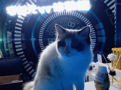 -零纪元VR体验馆·桌游(黄浦店)