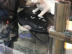 -PETKIT小佩宠物(昭化店)